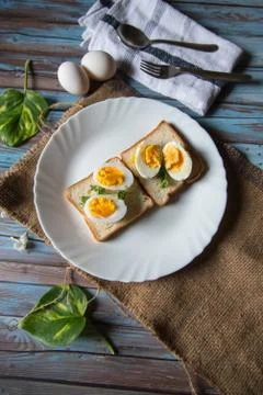 Vertical view of boiled eggs on slices of bread Stock Photos