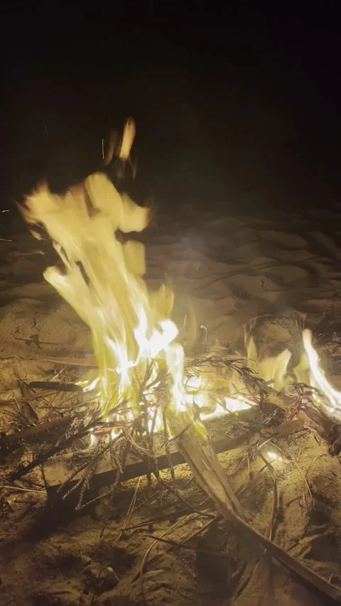 Vertical view of a bonfire fire burning at night at the beach branches over sand Stock Footage 301037190
