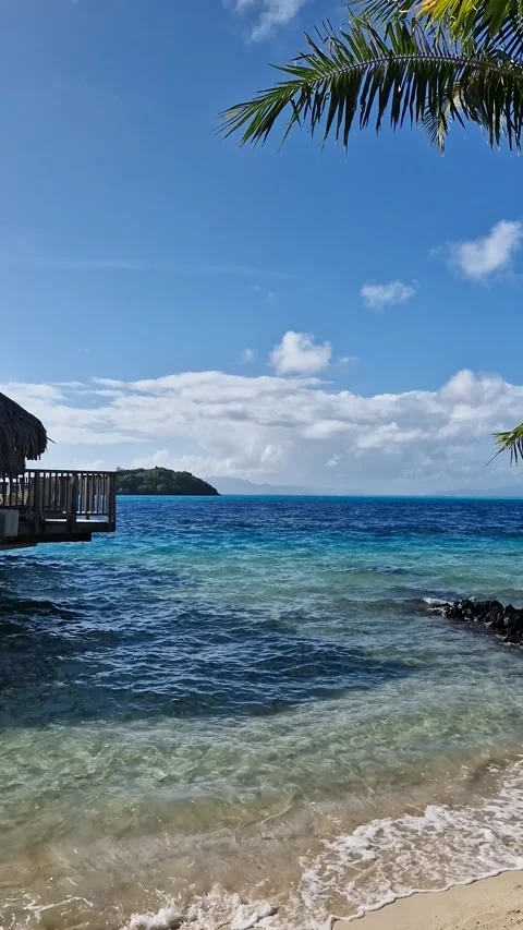 Vertical View of Bora Bora Island Lagoon and Overwater Villas, French Polynesia Video stock 335969402