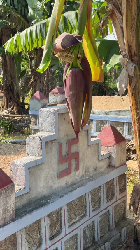 Vertical view of a Buddhist grave standing among banana plants with a hanging Video stock 335378006