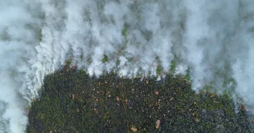 Vertical view of burning green hill with high contrast between smoke and burn Stock Footage 85644755