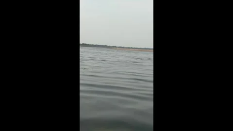 Vertical View of Calm Devi River Waters in Odisha India Stock Footage 338040635