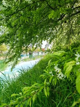 Vertical View of Canal Pathway with Trees in Reims France 1t Stockfoto's