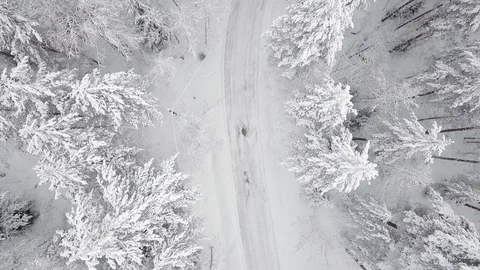 Vertical view of car driving on snowy forest road Stock Footage 112136548
