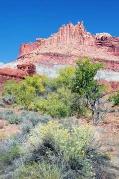 Vertical view of the castle in capitol reef Stock Photos