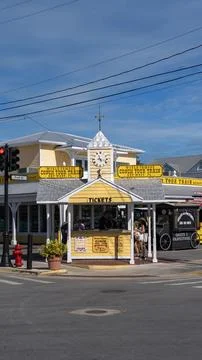 Vertical View of a Charming Key West Street with Tall Palm Trees Stock Photos