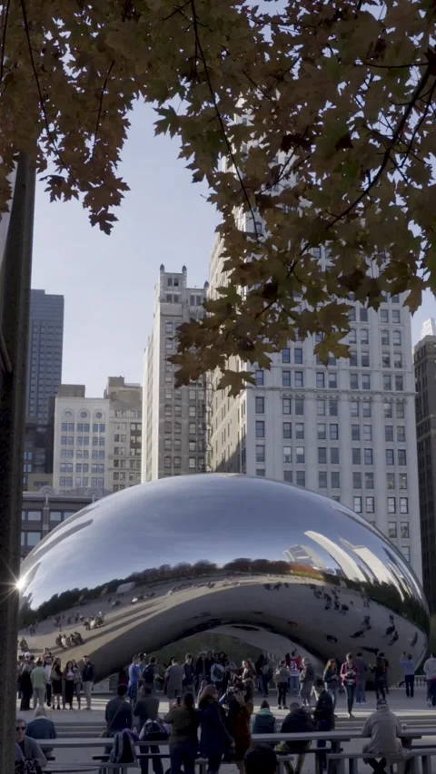 Vertical View of Chicago's Cloud Gate with Autumn Leaves and Skyline Stock Footage 321400135