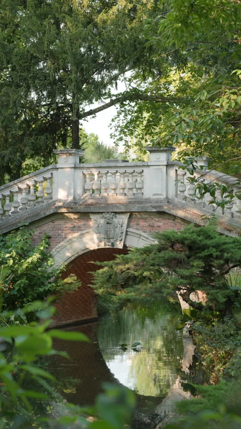 Vertical View of Classical Stone and Brick Arch Bridge Reflected in Park Water Stock Footage 340477380