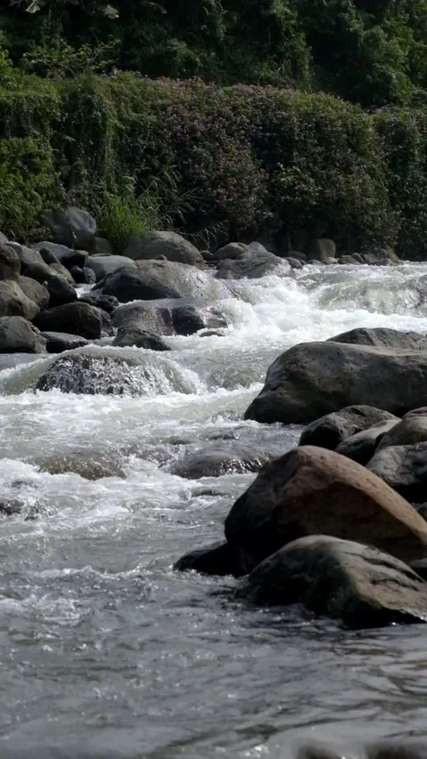 Vertical view of a clear and calm rocky mountain river Stock Footage 320983347