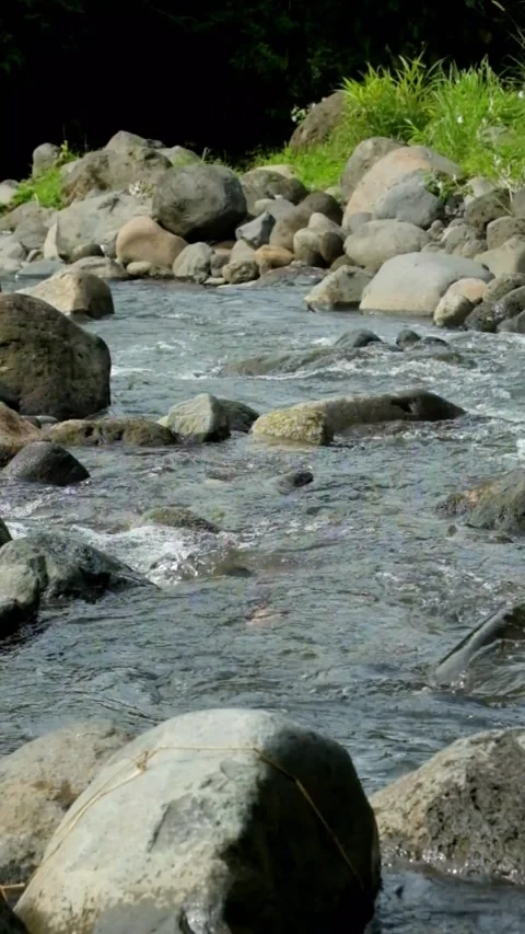 Vertical view of a clear and rocky mountain river Video stock 320923199