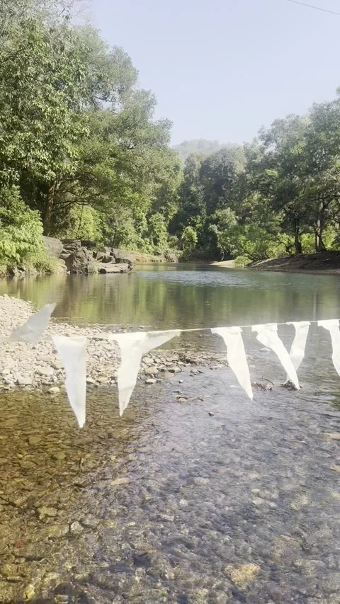 Vertical view of clear jungle river on the way to Dudhsagar Falls Goa India 動画素材 343155993