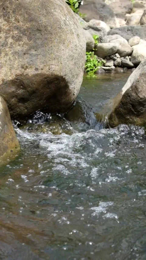 Vertical view of a clear river flowing over rocks Stock Footage 323148114
