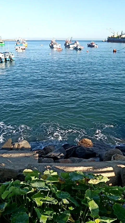 Vertical view of the coast the rocks and the boats of the sea in the port Stock Footage 233381465