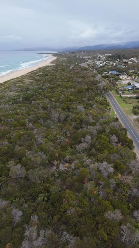 Vertical view of a coastal road winding through forest by a Tasmanian beach. Vídeo Stock 332542564