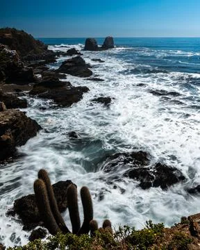 Vertical view of the coastline of punta de lobos beach with the waves crashin Stock Photos