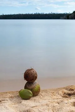 Vertical view of coconuts by a lake Stock Photos