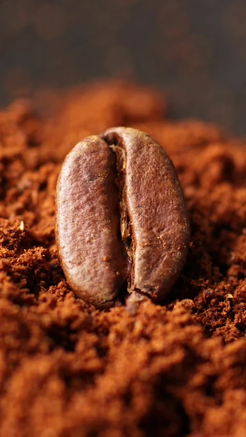 Vertical View Of Coffee Bean On Ground Coffee Bean. Reveal Shot Stock Footage 315758366