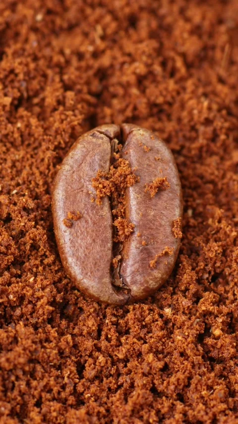 Vertical View Of A Coffee Bean Over Coffee Powder. Close-up Macro Shot Stock Footage 315732071