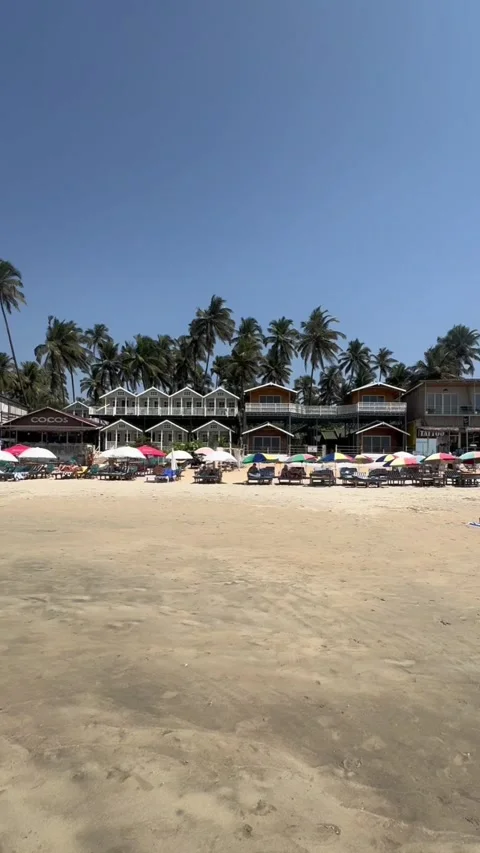 Vertical view of colorful beach shacks and sun loungers on Palolem Beach Goa 動画素材 342968413