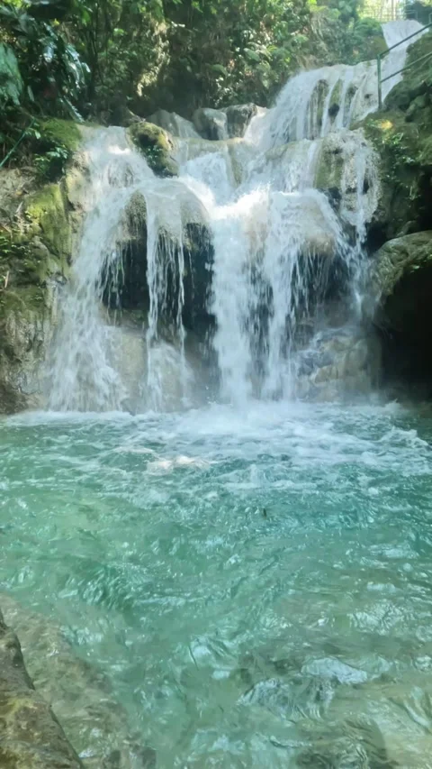Vertical view of a cool tropical rainforest waterfall Stock Footage 321860604