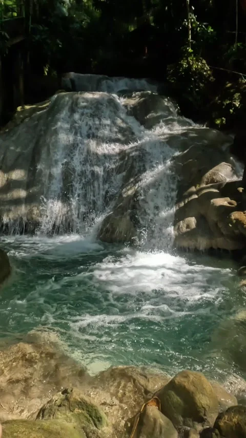 Vertical view of a cool tropical rainforest waterfall Stock Footage 321860613