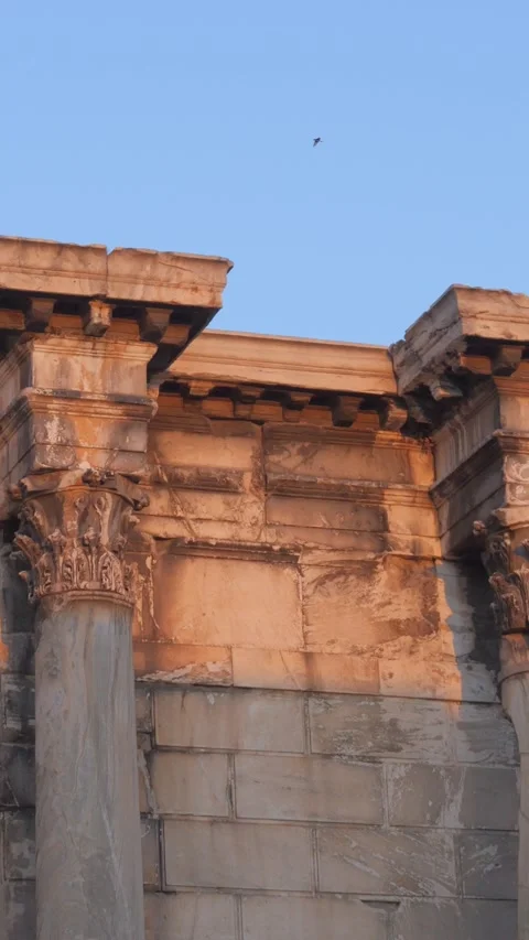 Vertical View of Corinthian Columns at Hadrian's Library Stock Footage 342182344