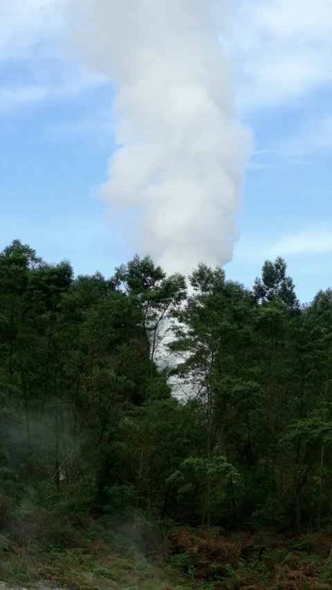 Vertical view of crater steam billowing upwards among the foliage Video stock 319907546