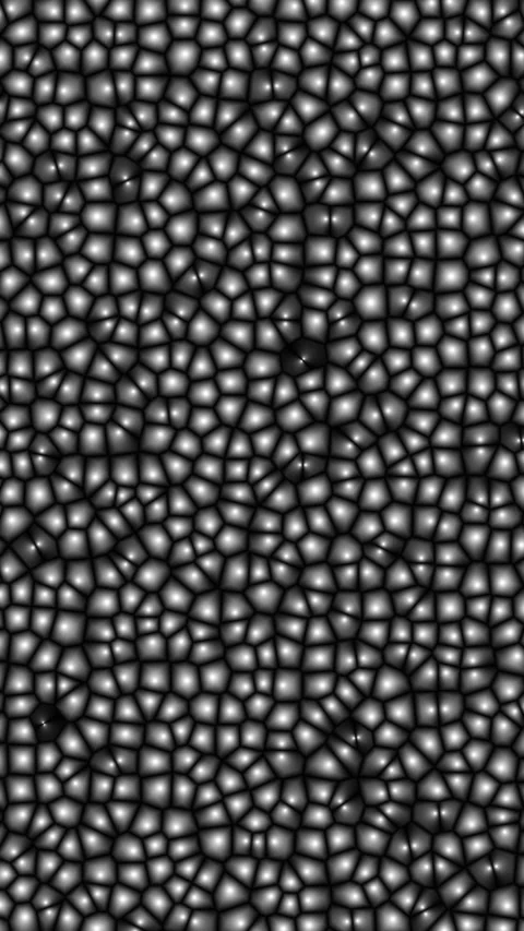 Vertical View of Dense Monochromatic Cells Pattern Stock Footage 345022143