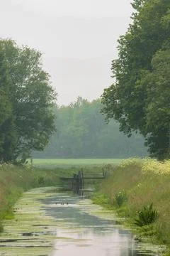 Vertical View of Ditch Between Meadows with Weir, Drenthe Stock Photos