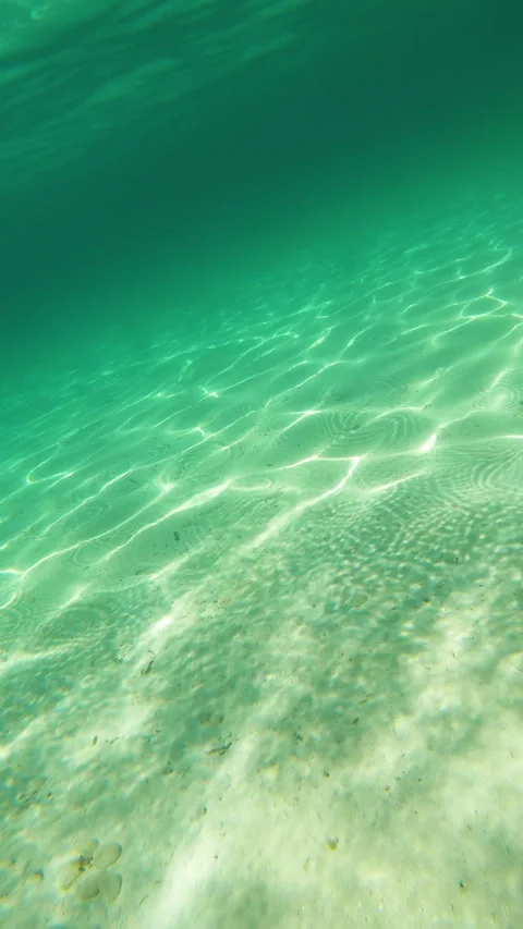 Vertical view of a dive in the clear water in slow motion Stock Footage 337243757