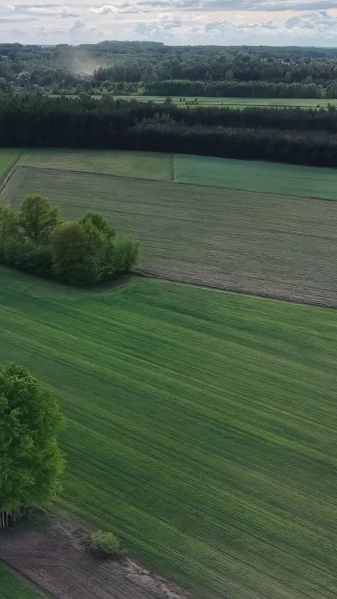 Vertical view. Drone shot of a geometric farm field pattern in the countryside Stock Footage 348630496