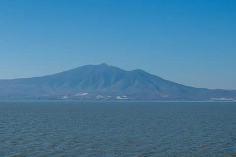 Vertical view of dry riverbed with trees in Spring Forest near Guadalajara Foto stock