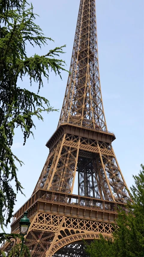 Vertical view of Eiffel Tower framed by trees on clear summer day Paris Stock Footage 314979644
