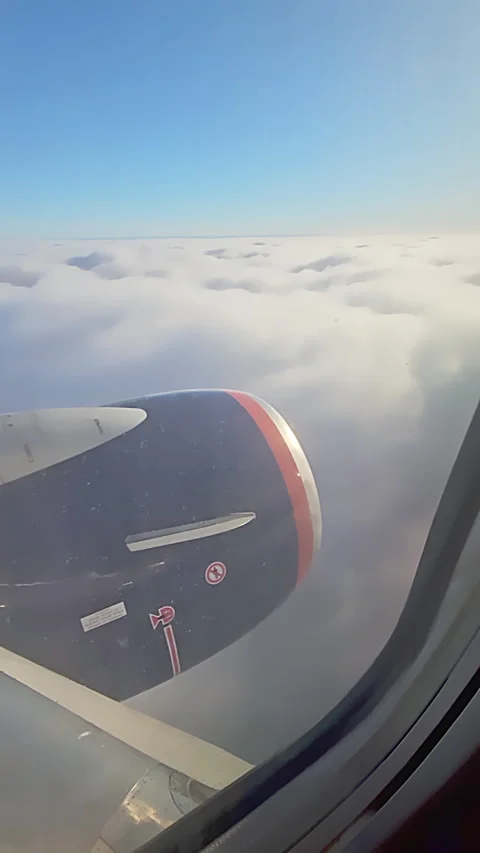 Vertical. View from the ejector of a flying passenger plane Stock Footage 267404851