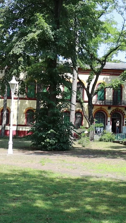 Vertical View of Elegant Historic Building Behind Park Trees Stockbeeldmateriaal 334891517