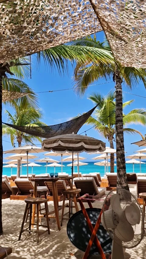 Vertical View of Empty Beach Club by Caribbean Sea on Hot Sunny Day. Mullet Video stock 344403400