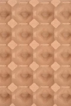 Vertical view of empty cardboard egg tray Foto stock