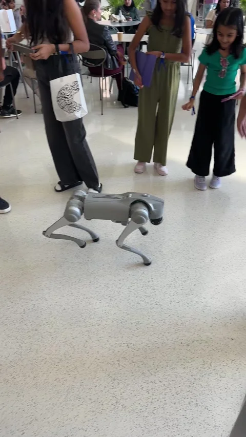 Vertical view of excited people watching a new technology robot dog while it Video stock 327407529