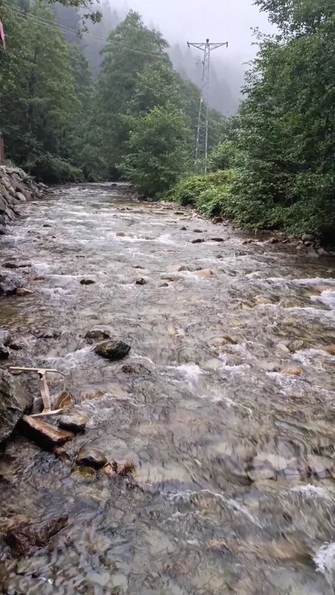 Vertical View of Fast Flowing Mountain River in a Lush Green Forest Stock Footage 343900863
