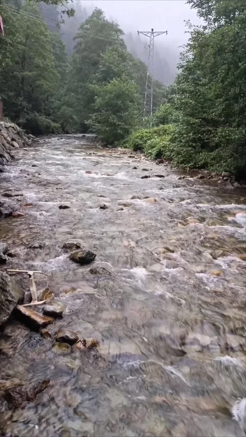 Vertical View of Fast Flowing Mountain River in a Lush Green Forest Stock Footage 343901200