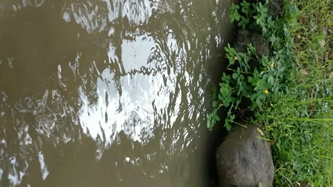 Vertical view of flowing water on a river side Stock Footage 170302474
