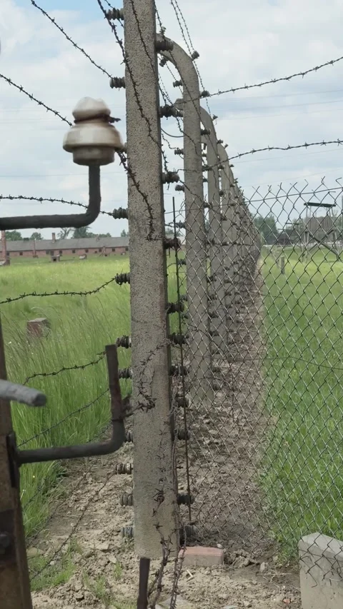Vertical view follows the original rusty barbed wire and electric fencing Stock Footage 344467702