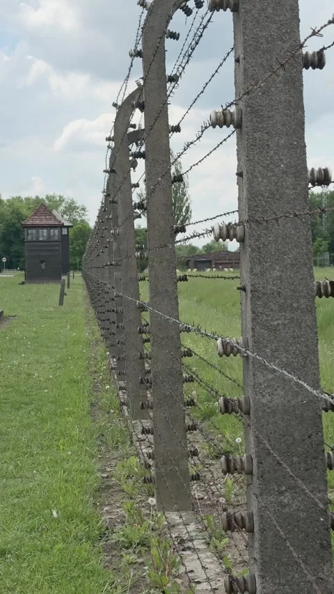 Vertical view follows rusty barbed wire and electric fencing at Auschwitz Stock Footage 344467752