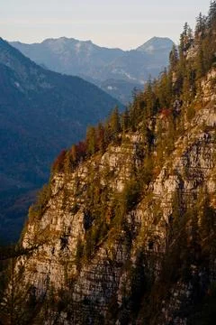 Vertical view of the forest on rocky mountains during the sunny day Stock Photos