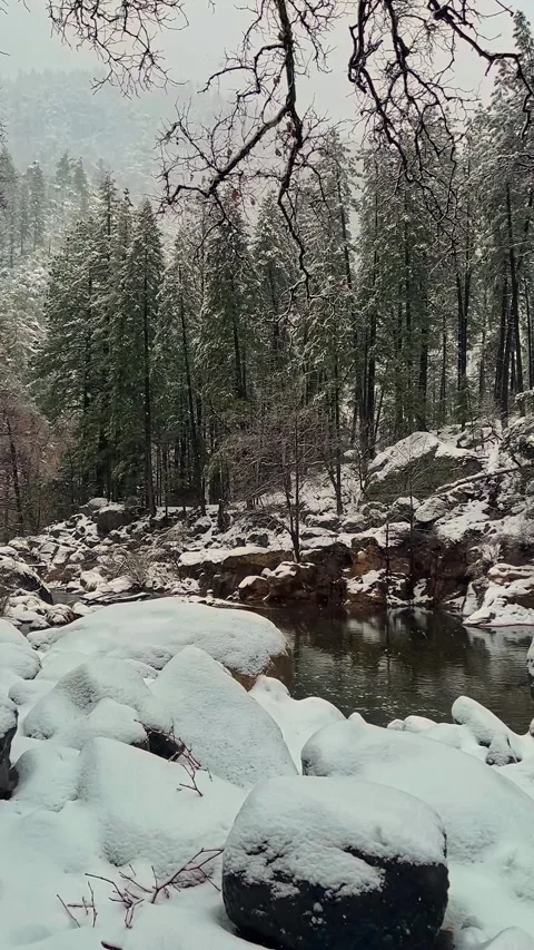 Vertical View Of Gentle Falling Snow On Oak Creek In Sedona AZ Stock Footage 343878833
