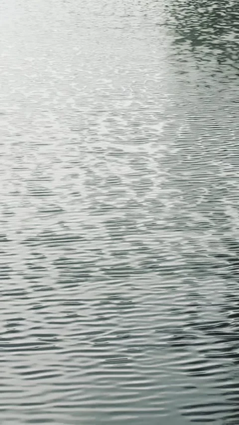 Vertical View of Gentle Water Ripples and Reflections Stock Footage 338430107