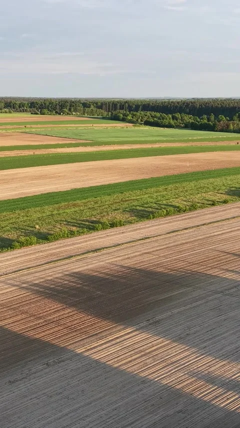 Vertical view. Geometric patchwork of crop fields seen from a drone Stock Footage 348630476