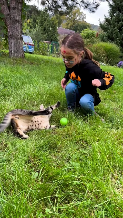 Vertical View Of A Girl Teasing A Wild Kitten In The Grass Stock-Footage 267455645
