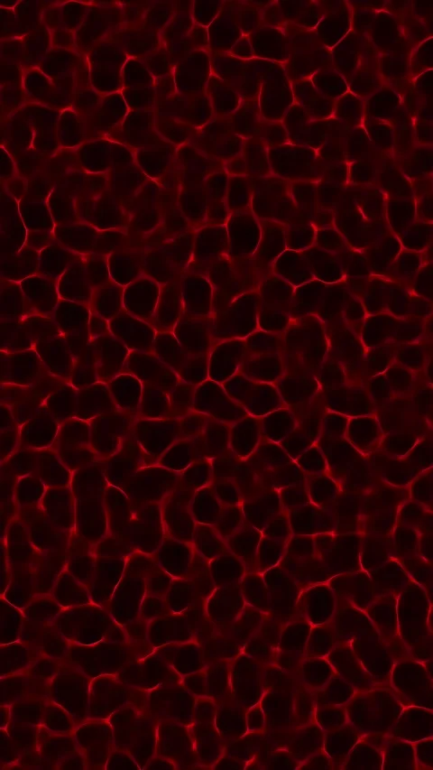 Vertical View of Glowing Red Caustic Fluid Texture Stock Footage 344329768