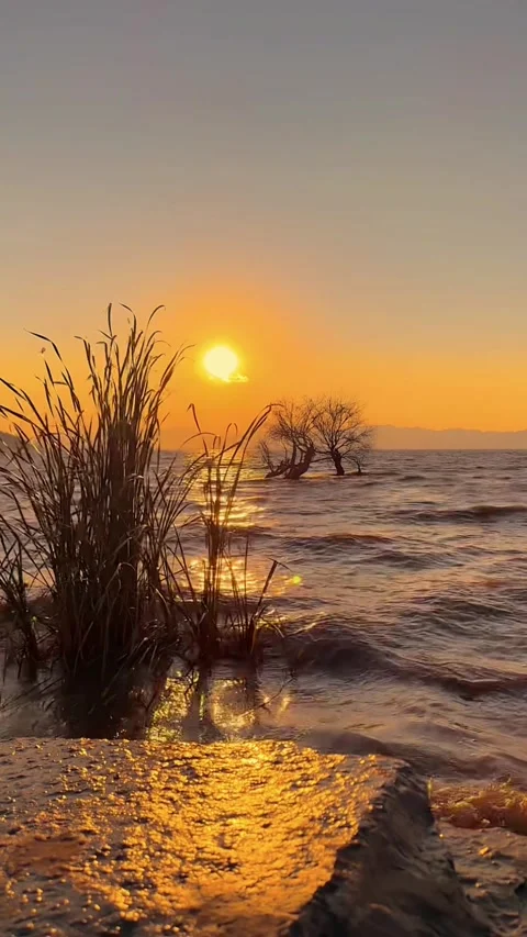 Vertical View of Golden Sunset over Windy Erhai Lake with Rippling Waves Stock Footage 330149154
